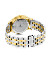 Load image into Gallery viewer, Jura Vasa Link 38mm Gold White