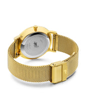 Load image into Gallery viewer, Code Classic Milanese 38mm Gold White