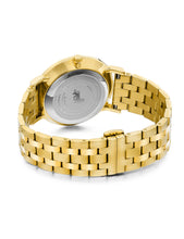 Load image into Gallery viewer, Jura Vasa Link 38mm Gold White
